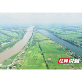 益阳：全面推行“五级”田长制 让耕地保护“实至名归”