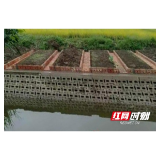 南县中鱼口镇多措并举美环境
