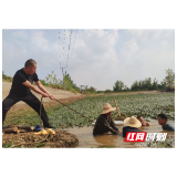 益阳赫山：稳生产保民生 全力以赴抗长旱