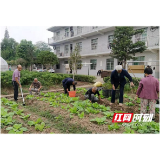 南县：“开心菜园”让老人们“老有所乐”