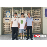 桃江一男子租借他人银行卡“跑分” 被刑拘！