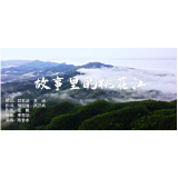 视频｜歌曲《故事里的桃花江》