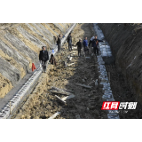 赫山龙光桥街道：奋战农田建设“开门红” 绘就田园新画卷