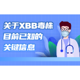 关于XBB毒株，目前已知的关键信息