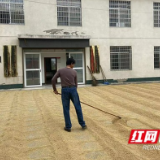 南县浪拔湖镇：腾地晒谷解民忧 保障安全暖民心