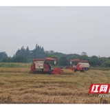 南县明山头镇：土地“托管”助力农业生产增效