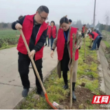 南县明山头镇：村民代表显担当 真情服务暖乡邻