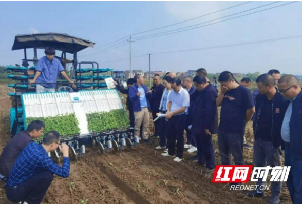 全省油菜机械化种植技术现场培训在沅江举办