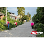 南县明山头镇：“志愿红”守护“生态绿” 助力家园持久美