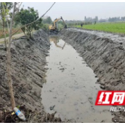 南县武圣宫镇：水利冬修施工忙