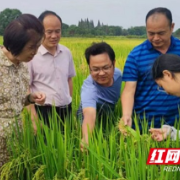 益阳市农业农村局：科技特派“三到”服务 凝心聚力优化企业营商环境