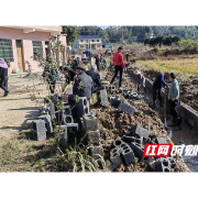 桃江县大栗港镇：村民自发修渠道 乡村振兴不停息