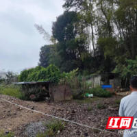 桃江县马迹塘镇：组建农村建房专班 打通服务村民建房的最后一公里
