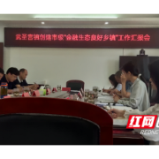 南县武圣宫镇：创建“金融生态良好乡镇”优化营商环境