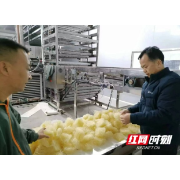 南县厂窖镇坚持宣传先行 助力最优营商环境