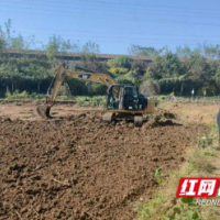 益阳高新区鱼形山街道：“三湘护农”走深走实 营商环境持续优化