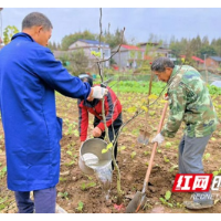 南县浪拔湖镇开展“高效庭院经济”公益助残活动