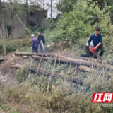 南县浪拔湖镇：齐心扫障换新颜 清淤保畅护生产