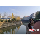 赫山区兰溪镇：委员巡河问水 守护碧水清流