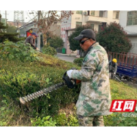 南县武圣宫镇：修剪道路沿线树木 美化环境保安全