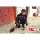 桃江警方破获一起非法狩猎案