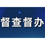 “督”在关键 “查”到实处 ——益阳市自然资源和规划局抓督查督办出成效