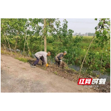 南县浪拔湖镇：纪委护航“河长制” 水清河畅显成效