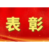 桃江县计生协连续4年获评“全省计生协重点工作优秀单位”称号