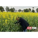 南县浪拔湖镇：科技特派员深入田间助力春耕