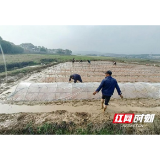 赫山区岳家桥镇：早春农忙好时节