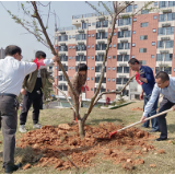 益阳师范高等专科学校举行植树活动