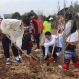 益阳职院：共植“团结林”，100株木槿树苗安家先锋村