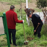 南县武圣宫镇：携手绿化植树 共建美丽乡村