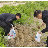 沅江新湾镇：积极防治水稻二化螟 藏粮于技保障粮食安全