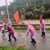 桃江县浮邱山乡开展农村人居环境整治志愿服务活动