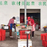 南县：宵夜“明星”——小龙虾抢鲜上市