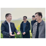 罗讯调研春耕备耕工作