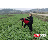 益阳市科学技术局：科技特派初显成效 科学规划再创辉煌