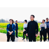 罗讯专题调研2023湖南油菜花节现场筹备工作