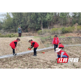 桃江县浮邱山乡：志愿服务“种花忙” 美丽乡村添新绿