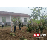 南县乌嘴乡：发展庭院经济 让生态旅游饭碗端得更牢