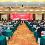 桃江县经促会武汉分会企业交流暨招商引资大会在武汉召开