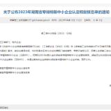 益阳龙岭产业开发区新增18家省级“专精特新”企业