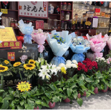 益阳：“清明经济”迎来小高潮