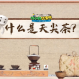 安化黑茶科普：什么是天尖茶？丨时小刻说黑茶