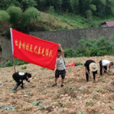 桃江县大栗港镇：村（居）民代表助力“春苗”行动严守耕地红线