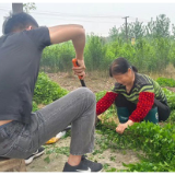 南县乌嘴乡：“槿”上开花 助力乡村振兴