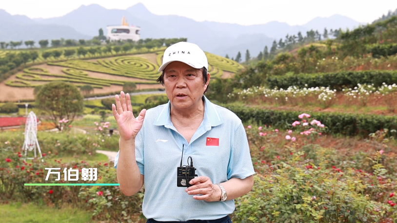 聚焦丨感受茶乡振兴路 文体明星安化公益行举行_益阳_湖南频道_红网