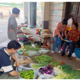 南县中鱼口镇开展农产品质量安全检测