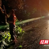 赫山公路：冒雨清障保畅通